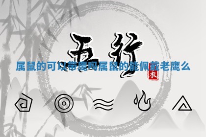 属鼠的可以带鹰吗 属鼠的能佩戴老鹰么