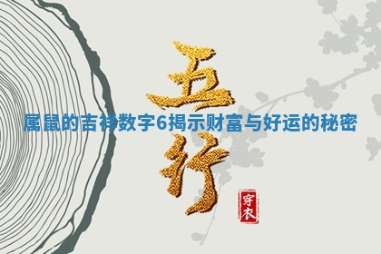 属鼠的吉祥数字6揭示财富与好运的秘密