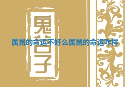 属鼠的命运不好么 属鼠的命运咋样