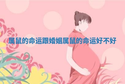 属鼠的命运跟婚姻_属鼠的命运好不好