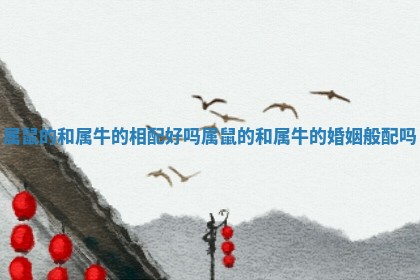 属鼠的和属牛的相配好吗_属鼠的和属牛的婚姻般配吗