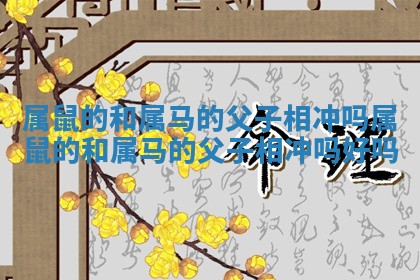属鼠的和属马的父子相冲吗_属鼠的和属马的父子相冲吗好吗