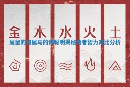 属鼠的和属马的谁聪明揭秘两者智力对比分析