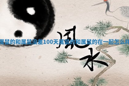 属鼠的和属鼠没差100天 属鼠的和属鼠的在一起怎么样