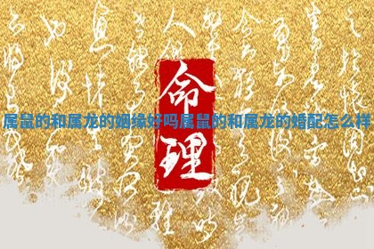 属鼠的和属龙的姻缘好吗 属鼠的和属龙的婚配怎么样