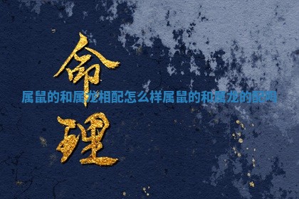 属鼠的和属龙相配怎么样_属鼠的和属龙的配吗