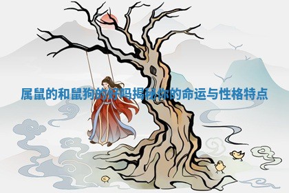 属鼠的和鼠狗的好吗揭秘你的命运与性格特点