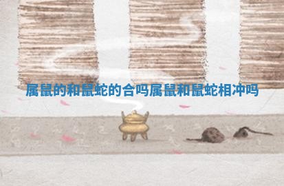 属鼠的和鼠蛇的合吗_属鼠和鼠蛇相冲吗