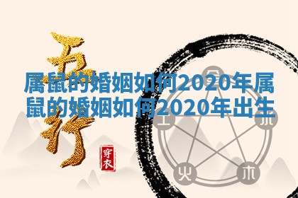 属鼠的婚姻如何2020年 属鼠的婚姻如何2020年出生