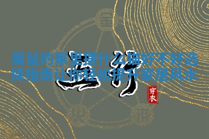 属鼠的家里摆什么猫好不好选择指南让你轻松提升家居风水