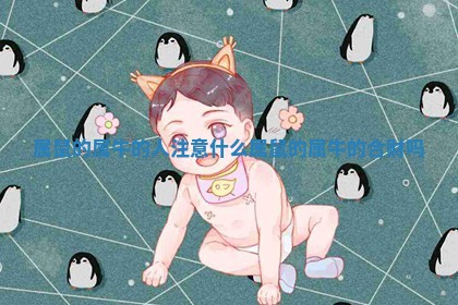 属鼠的属牛的人注意什么_属鼠的属牛的合财吗