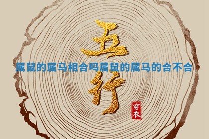 属鼠的属马相合吗 属鼠的属马 ? 的合不 ➰ 合 属鼠的属马相合吗 属鼠的属马 ? 的合不 ➰ 合