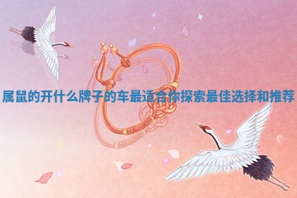 属鼠的开什么牌子的车最适合你探索最佳选择和推荐