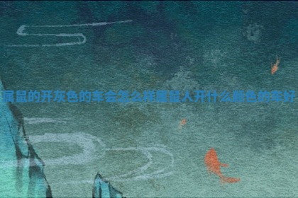 属鼠的开灰色的车会怎么样_属鼠人开什么颜色的车好