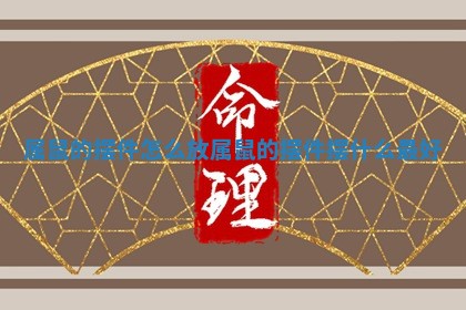 属鼠的摆件怎么放_属鼠的摆件摆什么最好