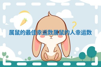 属鼠的最佳幸运数_属鼠的人幸运数