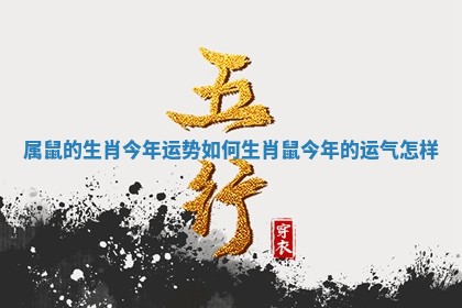属鼠的生肖今年运势如何 生肖鼠今年的运气怎样