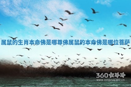 属鼠的生肖本命佛是哪尊佛 属鼠的本命佛是哪位菩萨