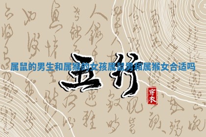 属鼠的男生和属猴的女孩 属鼠男和属猴女合适吗 属鼠的男生和属猴的女孩 属鼠男和属猴女合适吗