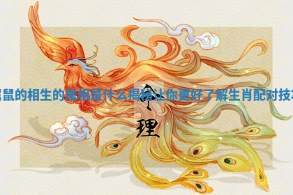 属鼠的相生的属相是什么揭秘让你更好了解生肖配对技巧