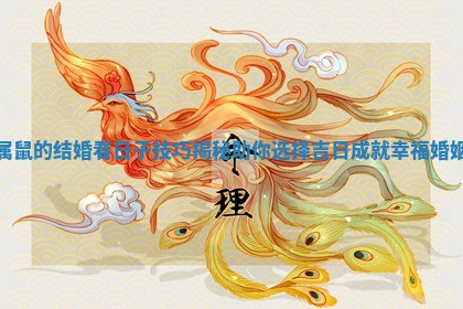 属鼠的结婚看日子技巧揭秘助你选择吉日成就幸福婚姻