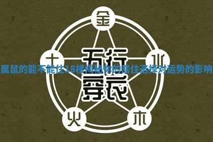 属鼠的能不能住18楼揭秘你的居住选择对运势的影响 属鼠的能不能住18楼揭秘你的居住选择对运势的影响