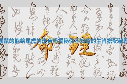 属鼠的能给属虎的送亲吗揭秘你不知道的生肖搭配秘密