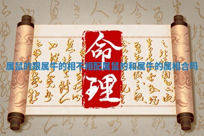 属鼠的跟属牛的相不相配_属鼠的和属牛的属相合吗 属鼠的跟属牛的相不相配_属鼠的和属牛的属相合吗