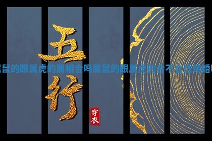 属鼠的跟属虎的属相合吗_属鼠的跟属虎的合不合适结婚吗