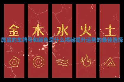 属鼠的车牌号和颜色是什么揭秘提升运势的最佳选择