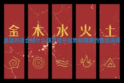 属鼠的适合挂什么葫芦提升运势和健康的最佳选择