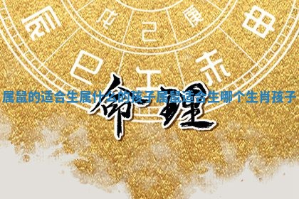 属鼠的适合生属什么的孩子 属鼠适合生哪个生肖孩子