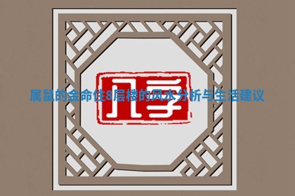 属鼠的金命住8层楼的风水分析与生活建议