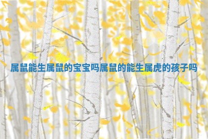 属鼠能生属鼠的宝宝吗 属鼠的能生属虎的孩子吗