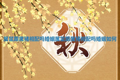 属鼠跟属猪相配吗婚姻_属鼠跟属猪相配吗婚姻如何