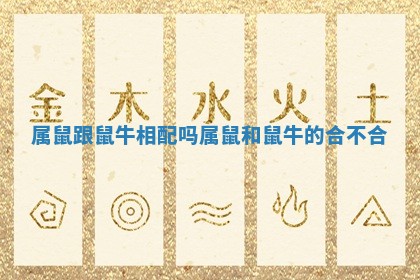 属鼠跟鼠牛相配吗_属鼠和鼠牛的合不合