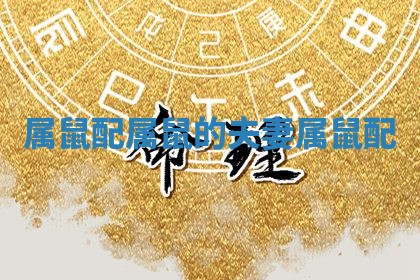 属鼠配属鼠的夫妻 属鼠 配