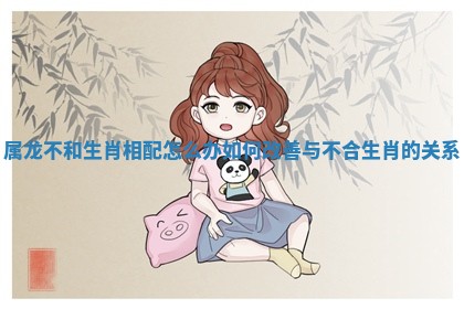 属龙不和生肖相配怎么办 如何改善与不合生肖的关系