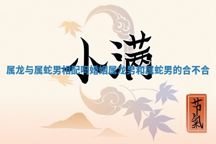 属龙与属蛇男相配吗婚姻_属龙男和属蛇男的合不合