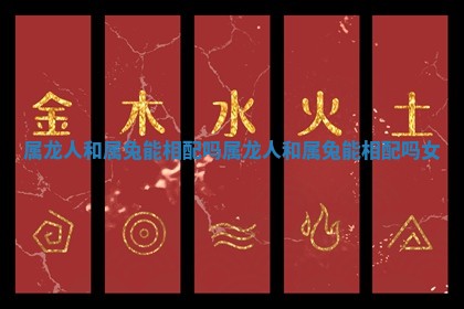属龙人和属兔能相配吗_属龙人和属兔能相配吗女
