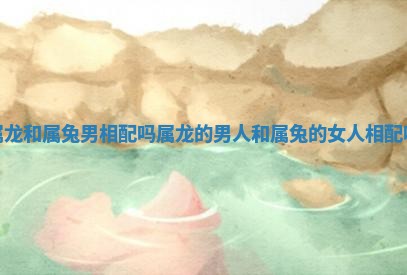 属龙和属兔男相配吗 属龙的男人和属兔的女人相配吗