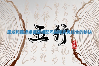 属龙和属虎婚姻能相配吗揭秘完美结合的秘诀
