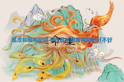 属龙和猴相配好不好_属龙跟属猴相配好不好