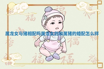 属龙女与猪相配吗 属龙女的和属猪的婚配怎么样