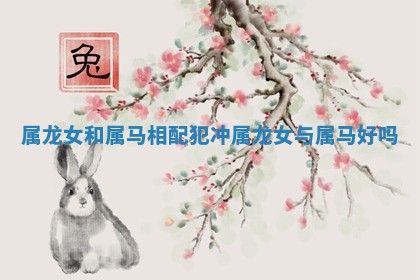 属龙女和属马相配犯冲 属龙女与属马好吗