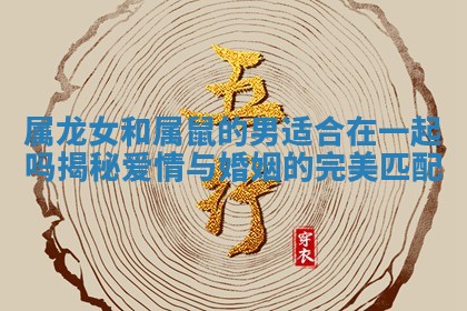 属龙女和属鼠的男适合在一起吗揭秘爱情与婚姻的完美匹配