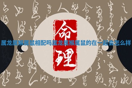 属龙属猴属鼠相配吗_属龙属猴属鼠的在一起会怎么样