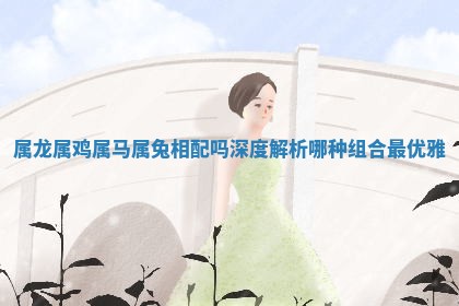 属龙属鸡属马属兔相配吗深度解析哪种组合最优雅
