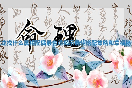 属龙找什么属相配偶最合适揭示最佳搭配策略和幸福秘诀