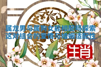 属龙男与属狗女能相配吗探索这对组合的爱情与婚姻适配性
